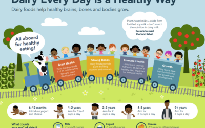 Dairy Every Day is a Healthy Way