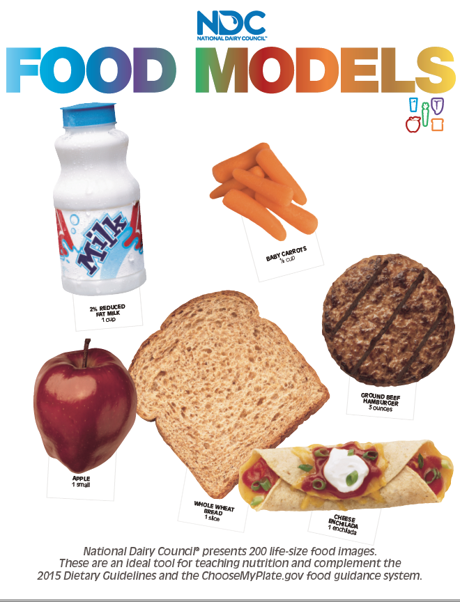 Food Models