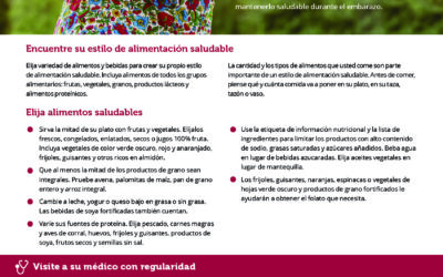 MyPlate Tip Sheet: Tips for Pregnant Moms (Spanish)