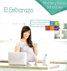 Pregnancy – Healthy Moms + Babies (Spanish) | Dairy Council Catalog